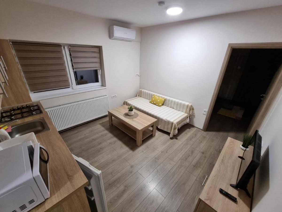 City Premium Apartments Timişoara Extérieur photo