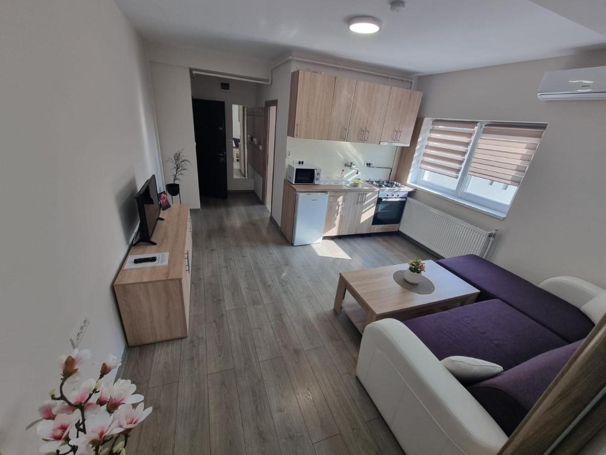 City Premium Apartments Timişoara Extérieur photo