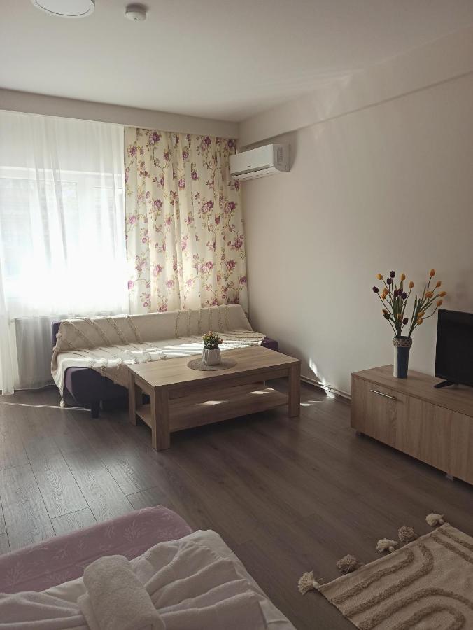 City Premium Apartments Timişoara Extérieur photo