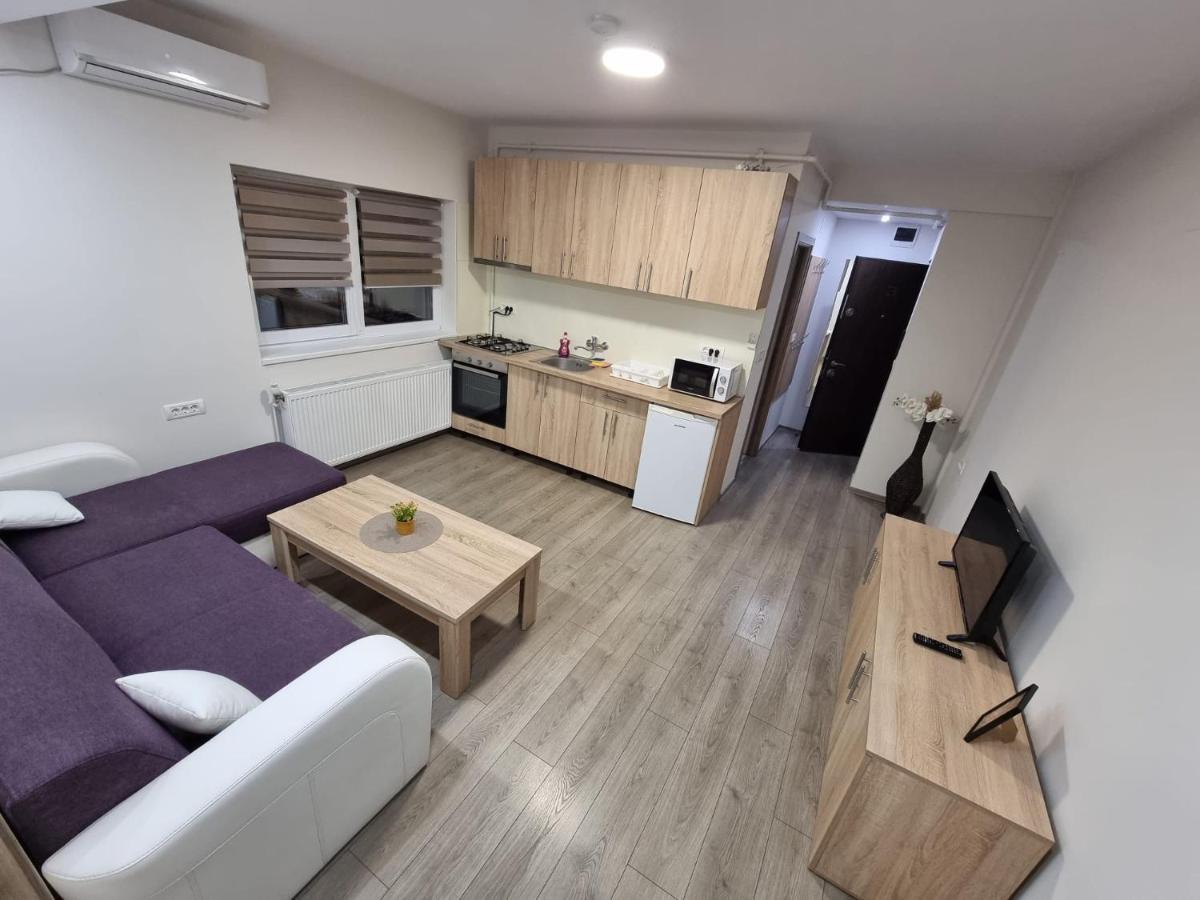 City Premium Apartments Timişoara Extérieur photo
