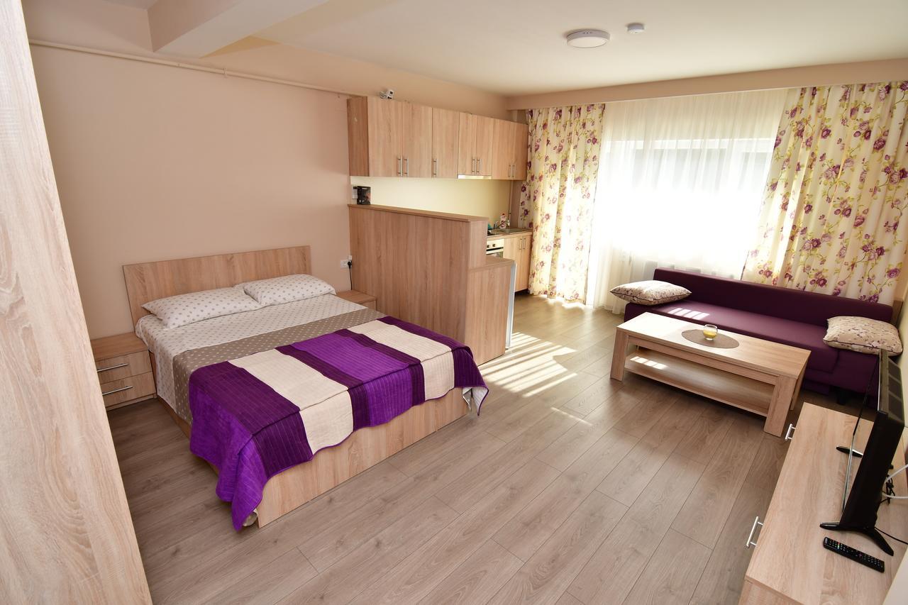 City Premium Apartments Timişoara Extérieur photo